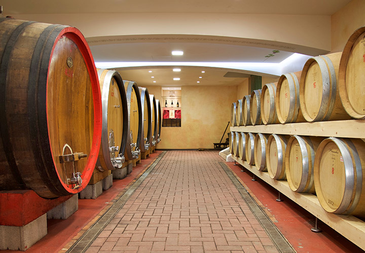 valpolicella wine experience